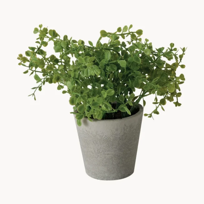 Plantas artificiais em vaso Timothy, 3 uni.