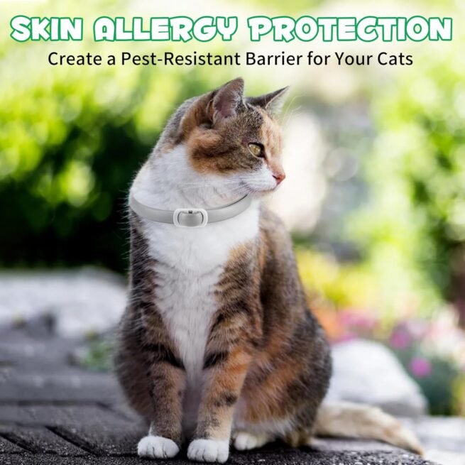 Colar anti-pulgas e carraças para gatos-4 peças colar antiparasitário proteção para 24 meses, tamanho único, ajustável e impermeável - colar anti-pulgas gatos
